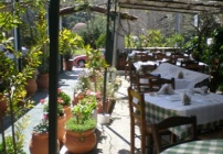 14€ από 28€ (Έκπτωση 50%) για Πλήρες Γεύμα 2 Ατόμων με απολαυστικές ελληνικές γεύσεις στην Παραδοσιακή Ταβέρνα «O Μπέμπης» στο Χαϊδάρι! Η προσφορά περιλαμβάνει 1 σαλάτα, 2 ορεκτικά, 2 κυρίως πιάτα και ½ κιλό κρασί ή 2 αναψυκτικά ή 1 μπύρα!